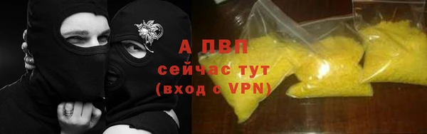 прущие крисы Абаза