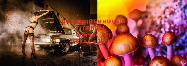 прущие крисы Абаза